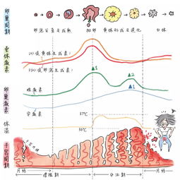 请问激素六项哪天去做为好？