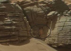 网民称在火星岩壁上发现 螃蟹 再掀猜测火星上有否外星生物
