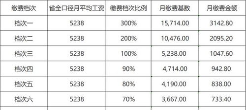 灵活就业统筹账户和个人账户比例(灵活就业养老保险个人统筹)