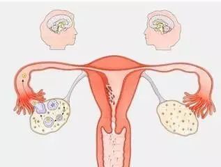 卵巢囊肿影响怀孕吗？