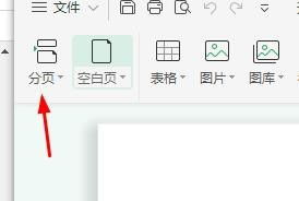 WPS文字如何插入分隔符 