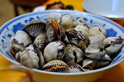 贝壳类食品外壳属于什么垃圾