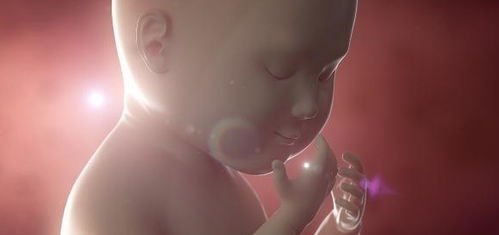 原创孕期，若孕妈常吃这3种“食物”，或许有助于胎儿“智力发育”