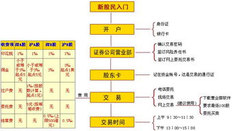 在深圳,新手想开户炒股流程是怎么样的?