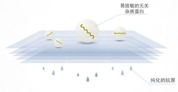 狗狗疫苗篇 卫佳捌和英特威哪个好