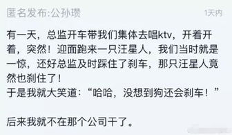 好消息 伊宁市至特克斯县将全线通车 还有很多更劲爆的消息,赶快来看跟你有关系吗