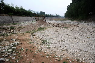 济南数公里河道干涸断流 一片荒凉 