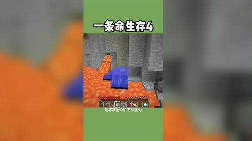 一条命生存4我永远不亏 