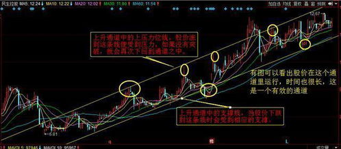 怎么判断自己分析出的压力位，支撑位是对的