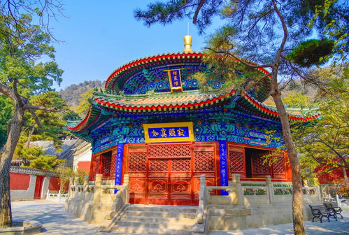 北京最大的皇家寺院,康熙亲笔题写匾额,最后成了 摇钱树