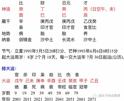 丁酉八字里代表什么