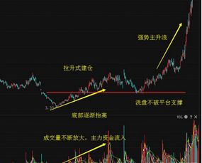 重仓亏损10%还需要补仓吗？