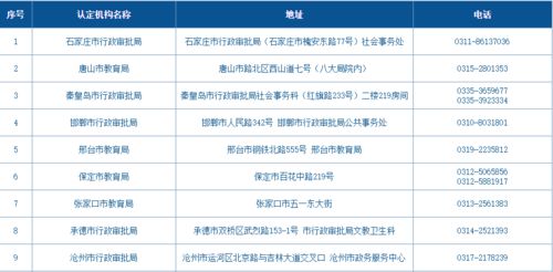 有哪些方法可以检查资产负债表中的漏洞或错误？