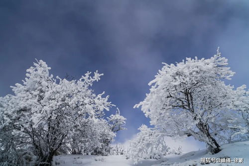 8日冰雪摄影 西岭雪山 海螺沟 峨眉山