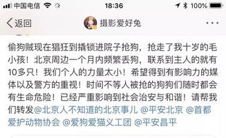 寻物启事找锁标准范文_被舍友偷东西怎么办？