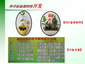 初中科学拓展性课程资料 例谈科学拓展课程开发 