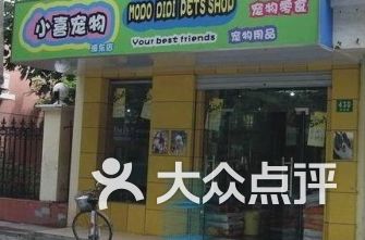 上海浦东新区宠物店排行 