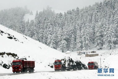 新疆哈密突降大雪 沿天山一带银装素裹 