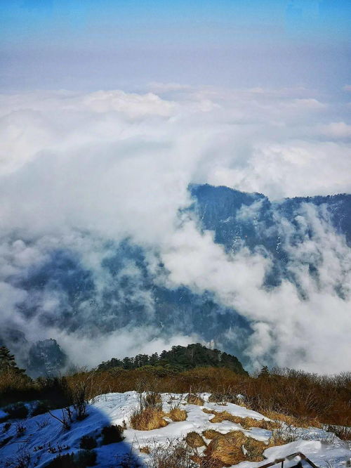 梦见太高太高的山上不去什么意思