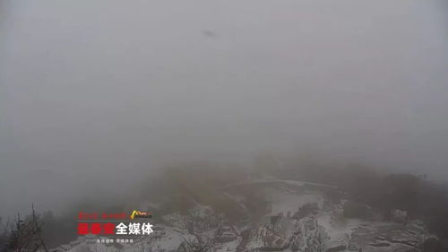 下雪啦 临沂下雪了 视频 图