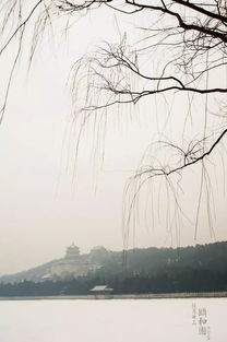 情人节遇上下雪天 北京最美滤镜已为你备好了极致浪漫