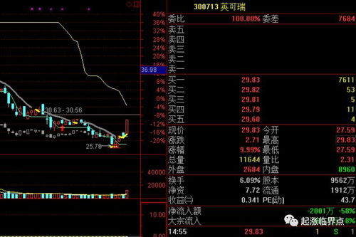 9月17日国际资本市场价格最高的一个股票是什么