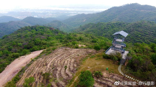 自驾江门鹤山,用一场旅行回归生活