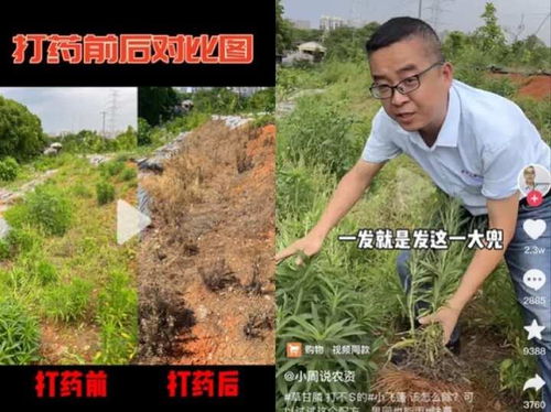 浙江小伙在抖音教农民种地,一个视频3000万人围观,究竟有啥 好看 