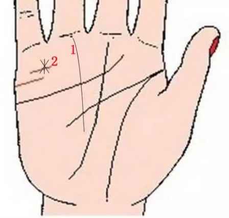9种手纹的女人命好 哪种手掌纹的女人命好