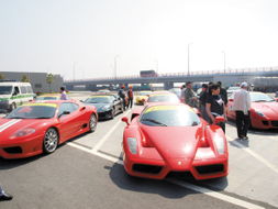 15辆法拉利狂飙甬台温高速 车主全是香港富豪