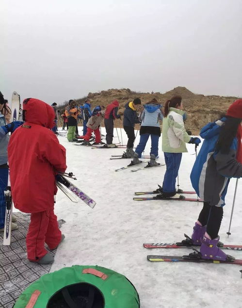 枣庄冬日哪里耍 莲青山滑雪场带你玩转速度与激情