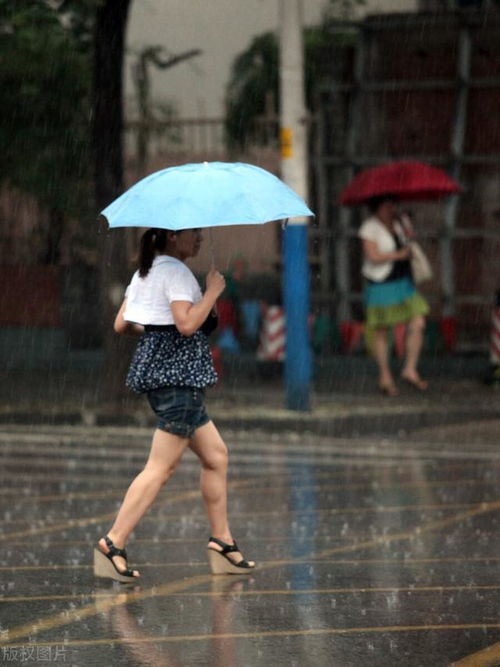 下雨便想起你