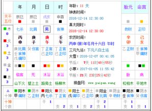 2016年农历11月16日 中午11点30 阳历 2016年12月14号 出生的男孩,什么命 