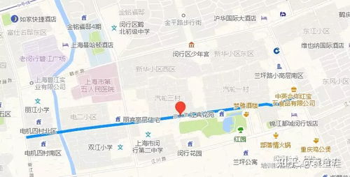 闵行区东川路属于什么街道，上海闵行区有哪些大学
