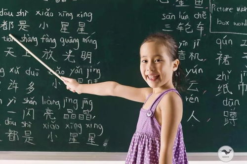 从川普孙女到金融大鳄的女儿,学汉语风潮正在席卷全世界