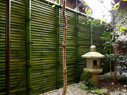 竹子篱笆怎么处理才能经久耐用