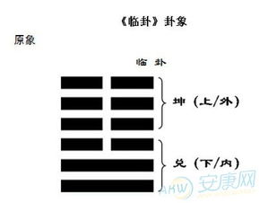 地泽临卦