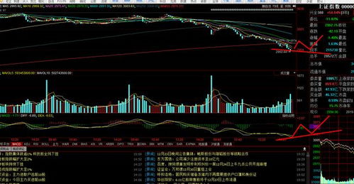 明天股市会反抽开启修复行情吗，可以补仓操作吗