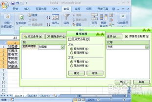 Excel2007表格怎样把姓名的顺序设置成笔画排序 