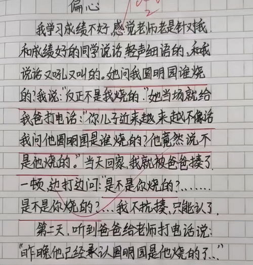 偏心的爸爸作文