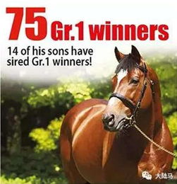 名副其实世界第一种公马 20岁 伽利略 一级赛冠军子嗣达75个