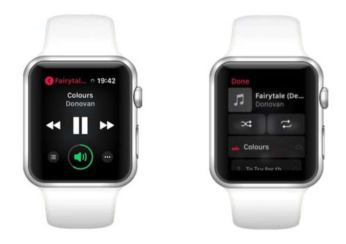 在Apple watch 上听QQ音乐，音乐占的内存都在哪里，没有连接手机还能听吗？