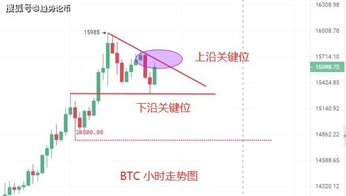 菲尔币前景解析,菲尔币今日价格行情走势图