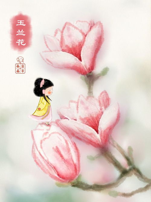 玉兰花开,寓意吉祥