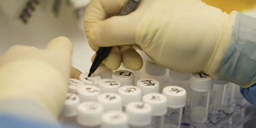 宁波北仑组织开展大规模核酸检测