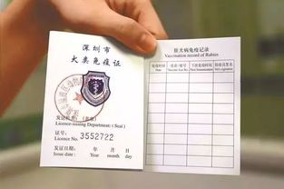 罗湖的养犬人士注意啦 深圳电子犬证已上线,无证将面临2000元罚款
