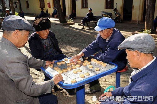 农村兴办养老院,势必会成为外出打工子女的定心丸