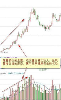 中恒集团放量下跌是主力出货还是洗盘