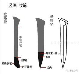 楷书起 行 收笔要领