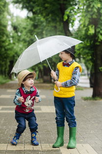 探寻珂伞的奥秘，一把承载历史与文化的雨具，珂伞自相丛什么意思